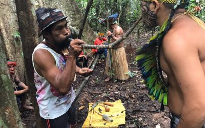 AMAZÔNIA REAL E NOTÍCIAS: Povos Ashaninka e Huni Kuin realizam ações de prevenção ao coronavírus, no Acre