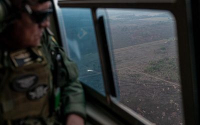 AMAZÔNIA NOTÍCIA E INFORMAÇÃO: Exoneração de diretor do Ibama será investigado pelo MPF