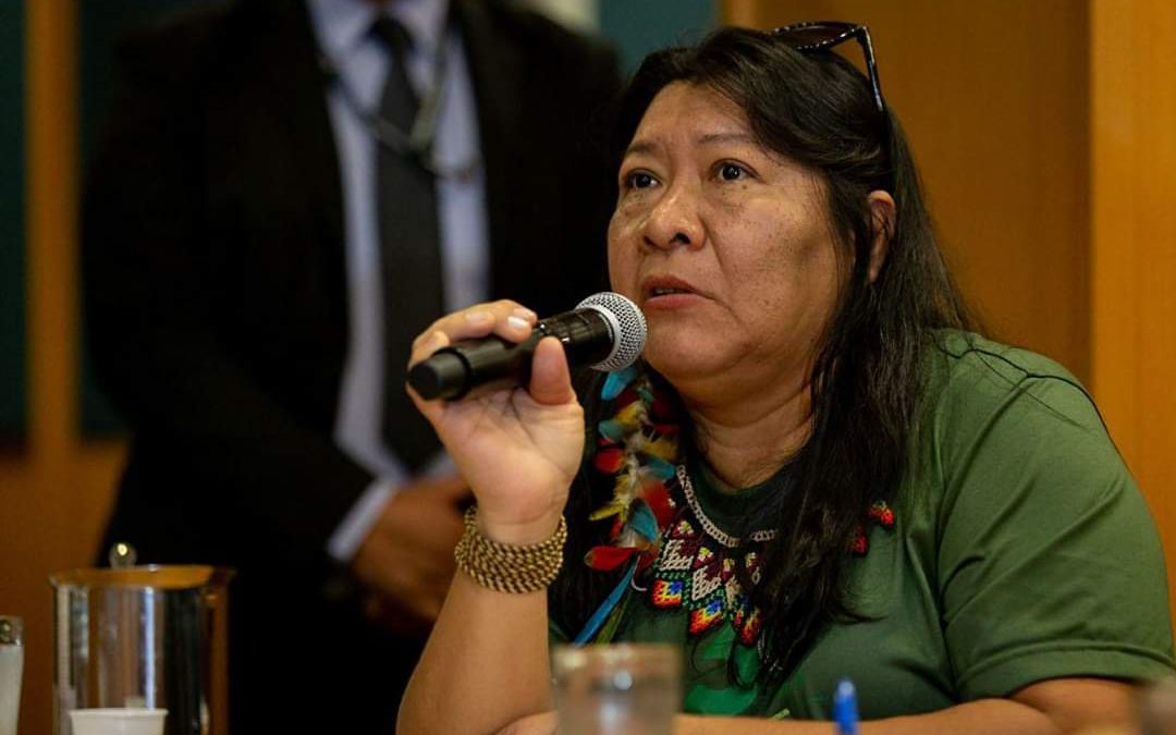 CIMI: Deputada Joênia Wapichana defende fiscalização e controle para ações do governo no combate à Covid-19 entre os indígenas