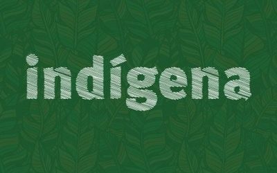MPF: MPF recomenda medidas diferenciadas para a implementação do auxílio emergencial em favor dos povos indígenas do rio Negro (AM)