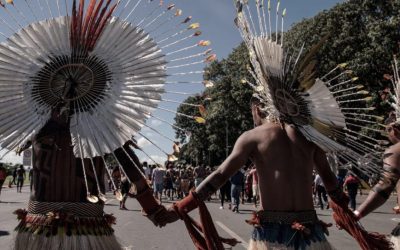 APIB; Artigo: Covid-19 e o vírus da violência no Brasil indígena