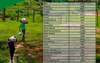 FUNAI: Covid-19: Veja quantas famílias vão receber cestas de alimentos em cada estado