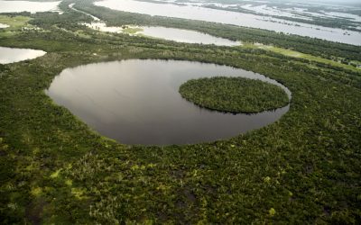 AMAZÔNIA REAL: Pandemia e Geograficidade: da expansão do Coronavírus às estratégias de prevenção