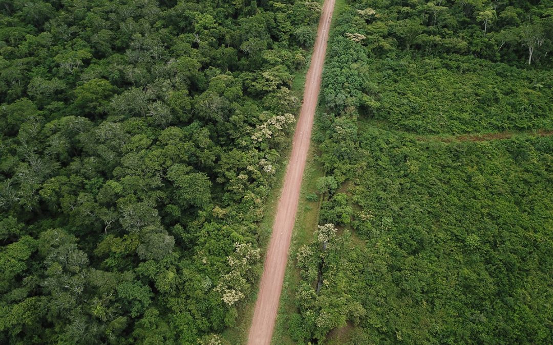 AMAZÔNIA NOTÍCIA E INFORMAÇÃO: Projetos de estradas na Amazônia podem desmatar 2,4 milhões de hectares nos próximos 20 anos
