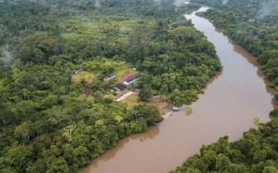 GREENPEACE: A destruição do meio ambiente em três frentes