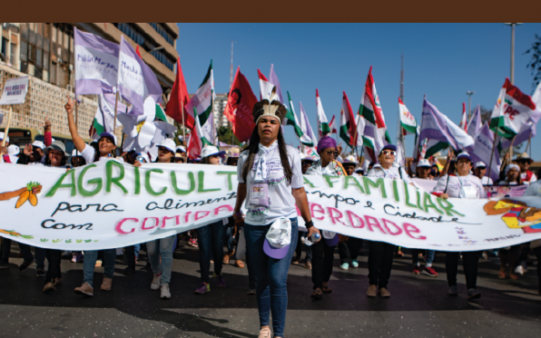 CNBB: Comissão Pastoral da Terra registra recorde no número de assassinatos de indígenas