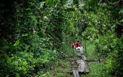 AMAZÔNIA REAL: Mais dois indígenas morrem por Covid-19 e Ministério da Saúde alerta para contágio dentro de hospitais de Manaus