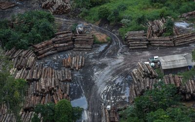 AMAZÔNIA REAL: O próximo coronavírus virá da Amazônia? Desmatamento e o risco de doenças infecciosas