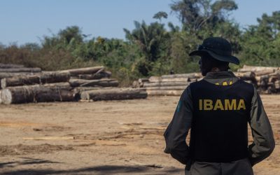 AMAZÔNIA NOTÍCIA E INFORMAÇÃO: Salles nomeia PM de São Paulo para diretoria do Ibama