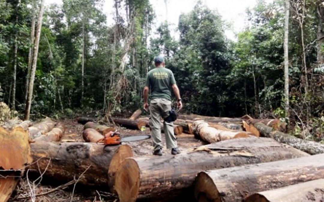 RBA: Ameaças de Bolsonaro ao Ibama agravarão contaminação entre indígenas