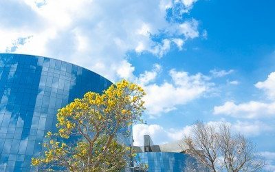 PGR: MPF pede esclarecimentos sobre baixa execução de recursos destinados ao combate da covid-19 entre indígenas e comunidades tradicionais [Atualizada]