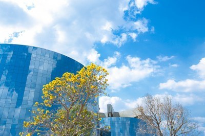 PGR: MPF pede esclarecimentos sobre baixa execução de recursos destinados ao combate da covid-19 entre indígenas e comunidades tradicionais [Atualizada]