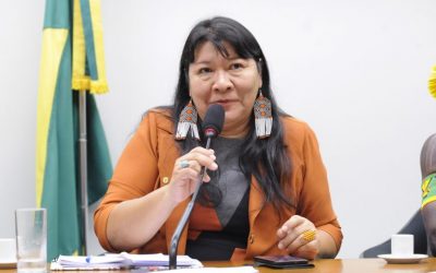CÂMARA: Deputados articulam votação de propostas de proteção dos indígenas frente ao coronavírus