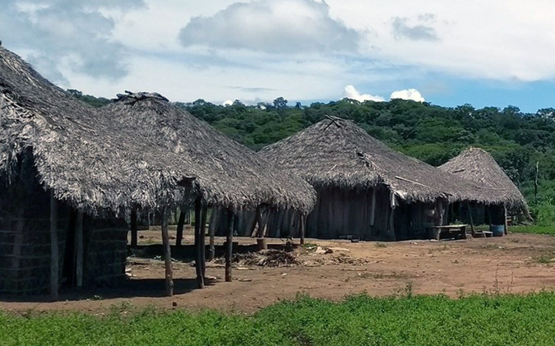 RBA: País tem 7 mil localidades indígenas e quase 6 mil quilombolas, estima IBGE
