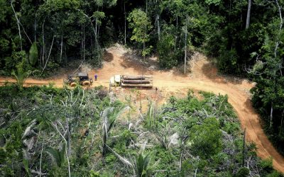 CIMI: Em meio à pandemia, grileiros e invasores se aproximam de aldeia Karipuna