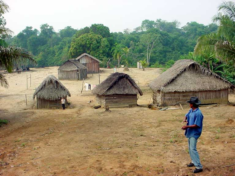 AMAZÔNIA NOTÍCIA E INFORMAÇÃO: Invasões, desmatamento e o risco de um novo extermínio do povo Karipuna