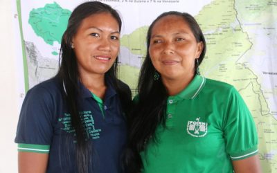 ISA: Em quarentena, comunidades do Xingu, Rio Negro e Ribeira temem invasões e falta de alimentos