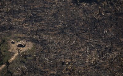 ISA: Dos confins ao confinamento: pandemia é consequência das nossas relações com a natureza