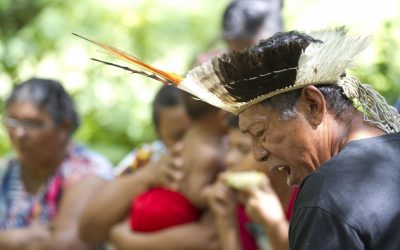 DE OLHO NOS RURALISTAS: Povo Tapeba, no Ceará, tem casos de coronavírus, é impactado por cheia e teme a fome