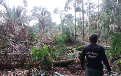 DE OLHO NOS RURALISTAS: Resolução do CNJ para conter coronavírus nos presídios beneficia invasores de Terra Indígena na Amazônia