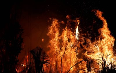 FOLHA DE S. PAULO: Amazônia vive pandemia de destruição com Covid-19 e ofensiva de Bolsonaro