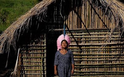 BRASIL DE FATO: Para cacique do Paraná, pandemia de coronavírus repete a tragédia da colonização