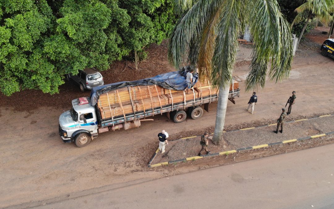 DEFESA: Ações deflagradas na Amazônia Legal apreendem madeira e drogas