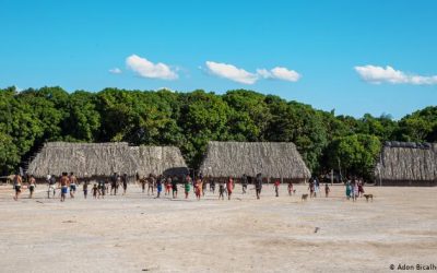 AMAZÔNIA NOTÍCIA E INFORMAÇÃO: Sem serem testadas para covid-19, equipes que atendem indígenas temem tragédia