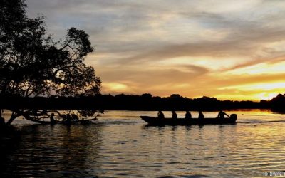 AMAZÔNIA NOTÍCIA E INFORMAÇÃO: Como ancestrais indígenas se preveniam de epidemias