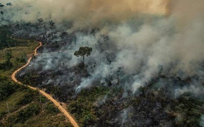 GREENPEACE: Ricardo Salles deve ser retirado imediatamente do Ministério de Meio Ambiente