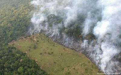 AMAZÔNIA NOTÍCIA E INFORMAÇÃO: Em meio a pandemia, deputados tentam votar “MP da grilagem”