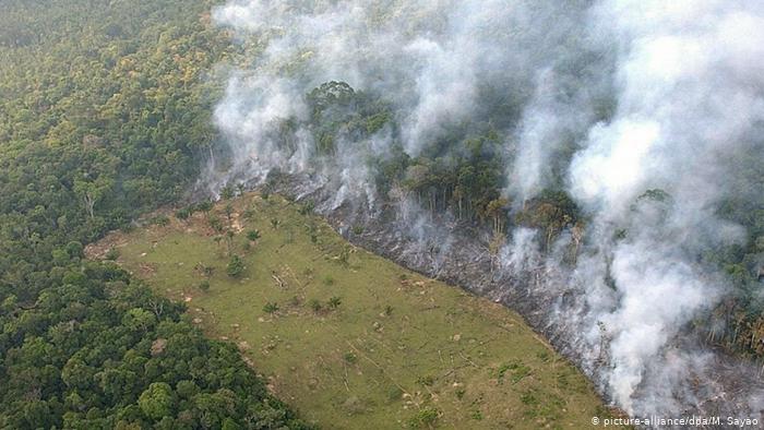 AMAZÔNIA NOTÍCIA E INFORMAÇÃO: Em meio a pandemia, deputados tentam votar “MP da grilagem”