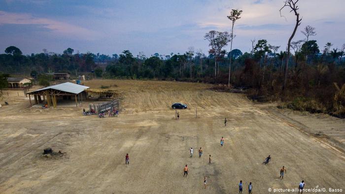 AMAZÔNIA NOTÍCIA E INFORMAÇÃO: Relatório aponta que 99% do desmatamento no Brasil em 2019 foi ilegal