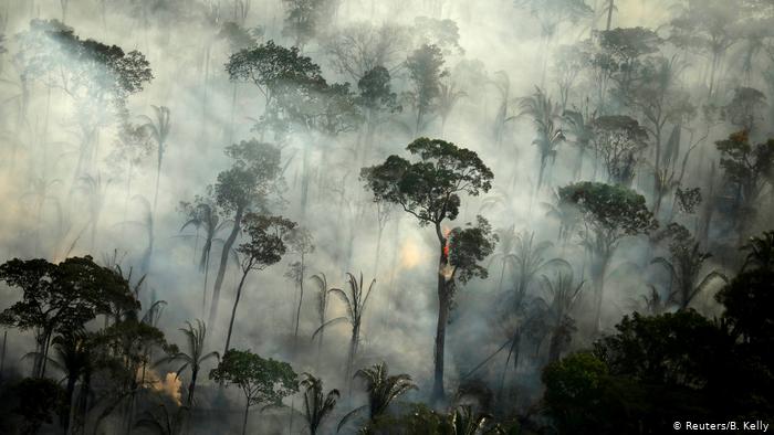 AMAZÔNIA NOTÍCIA E INFORMAÇÃO: Mourão recria Fundo Amazônia, mas Alemanha e Noruega não garantem recursos
