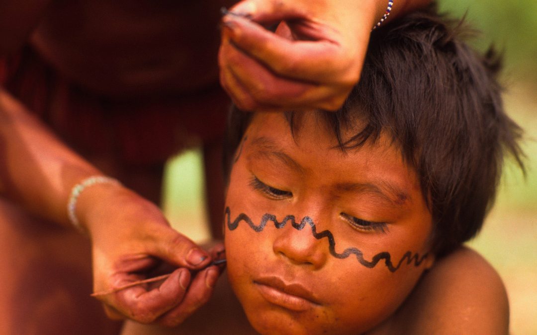 AMAZÔNIA REAL: Coronavírus: O que podemos aprender com um xamã da Amazônia? Parte 3: os conflitos e os xapiri