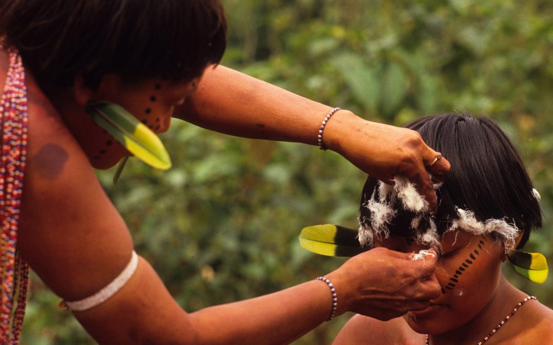 AMAZÔNIA REAL: Coronavírus: O que podemos aprender com um xamã da Amazônia? Parte 2: Criação do mundo e a mitologia Yanomami
