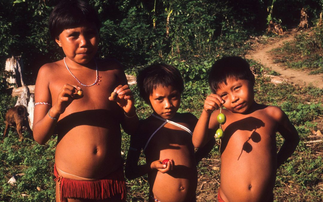 AMAZÔNIA REAL: Coronavírus: O que podemos aprender com um xamã da Amazônia? Parte 4: Os seres que protegem o mundo