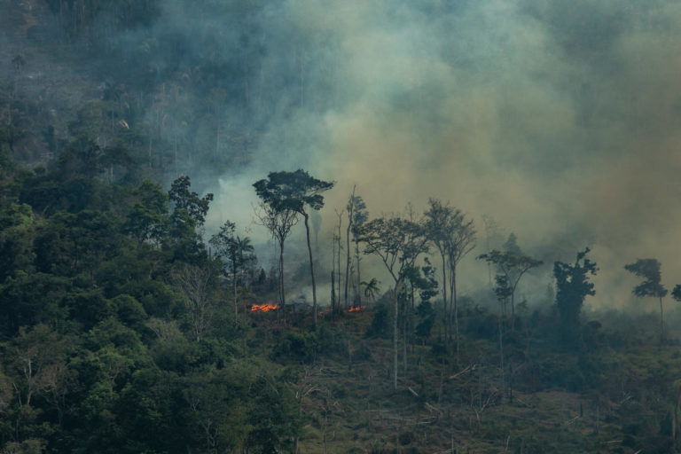 AMAZÔNIA NOTÍCIA E INFORMAÇÃO: Desmatamento acelerado na Amazônia pode levar à próxima pandemia