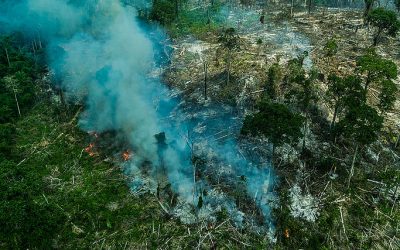 GREENPEACE: Ituna-Itatá: uma terra indígena da Amazônia tomada por ganância e destruição