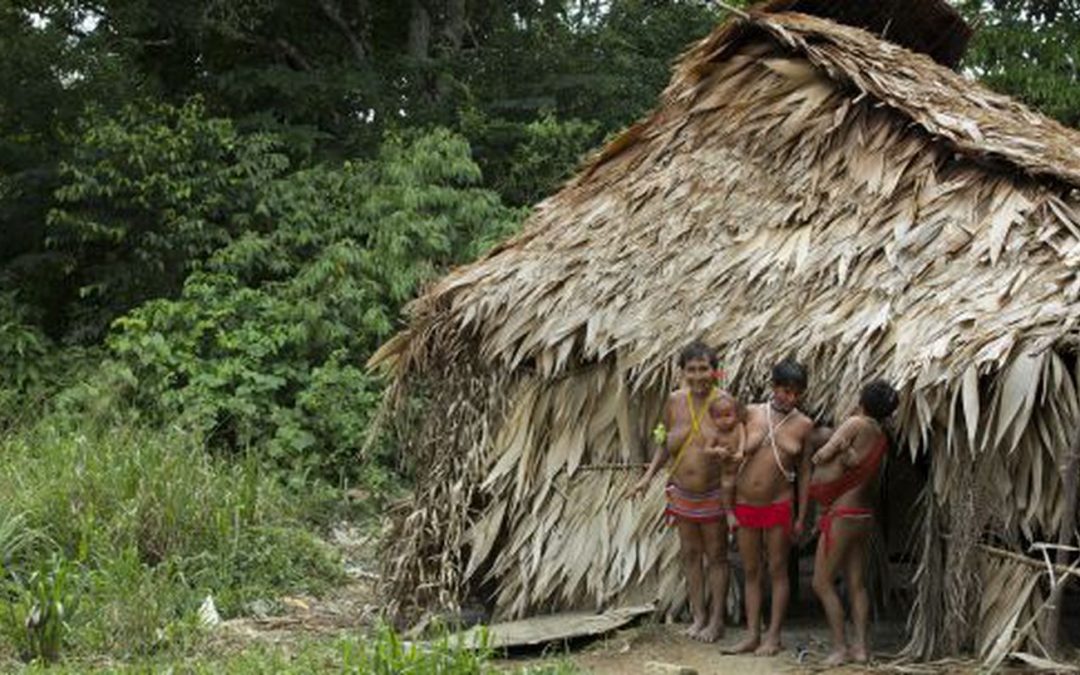 AMAZÔNIA NOTÍCIA E INFORMAÇÃO: Com 77 mortes, povos de 34 etnias indígenas já foram atingidos pelo coronavírus no Brasil
