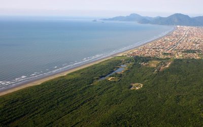 CPI- SP: Coronavírus chega na Terra Indígena Piaçaguera (SP) e os Tupi-Guarani intensificam as medidas de prevenção