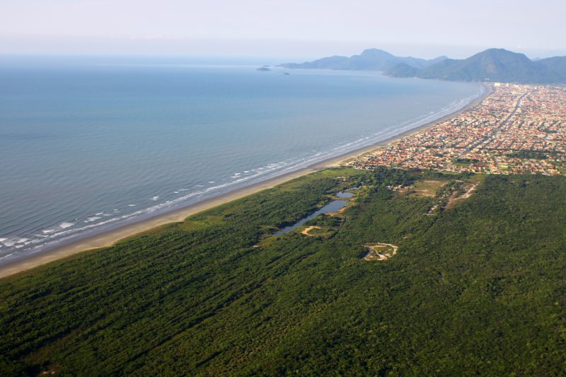 CPI- SP: Coronavírus chega na Terra Indígena Piaçaguera (SP) e os Tupi-Guarani intensificam as medidas de prevenção