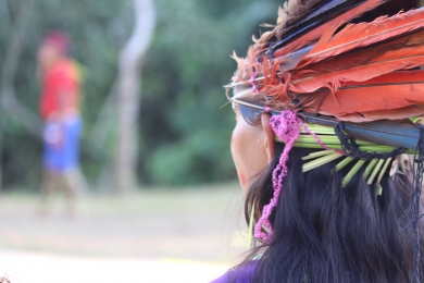 COMIN: Brasil, povos indígenas e Covid-19