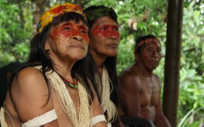 ONU BRASIL: ONU Mulheres divulga pedido de apoio aos povos indígenas na resposta à COVID-19