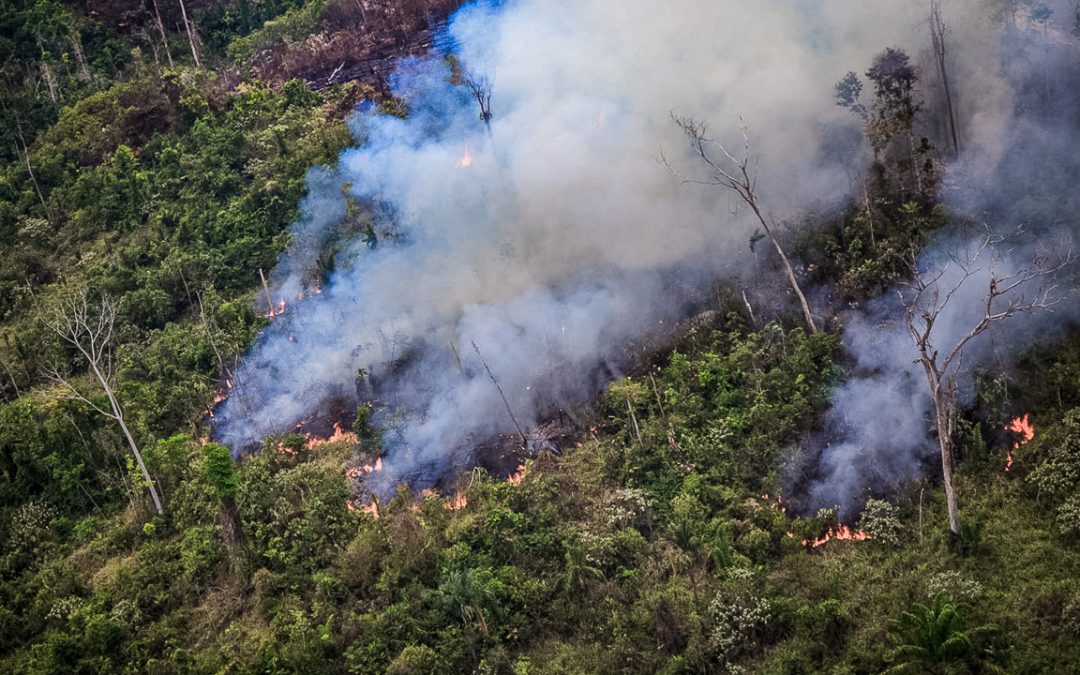 AMAZÔNIA NOTÍCIA E INFORMAÇÃO: Pará institui Política Estadual sobre Mudanças Climáticas
