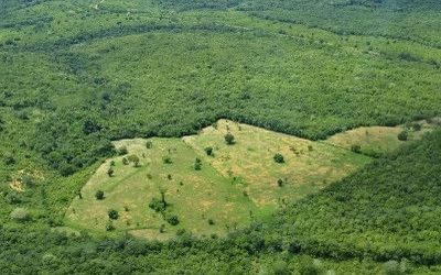 MPF: MPF confirma a legalidade da fiscalização do Ibama na Terra Indígena Cachoeira Seca