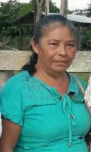 IEB: Nota de pesar: Maria Tereza Amazonas de Souza