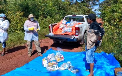 FUNAI: Coordenação da Funai Baixo Tocantins já entregou 1.450 cestas de alimentos; veja vídeo