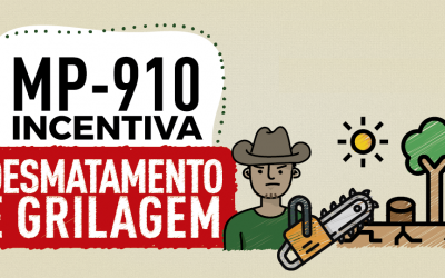 GREENPEACE: Não há acordo com a grilagem