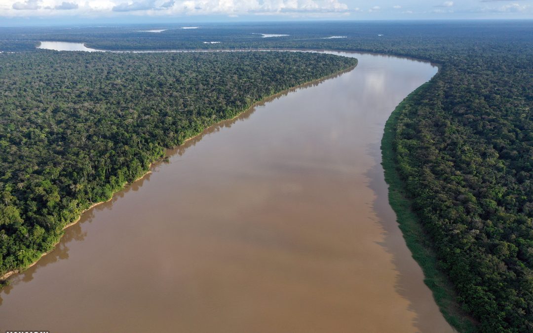 AMAZÔNIA NOTÍCIA E INFORMAÇÃO: Na Amazônia, região mais biodiversa do planeta está ameaçada por investimentos bilionários em petróleo